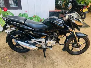 Bajaj Pulsar 135 2014