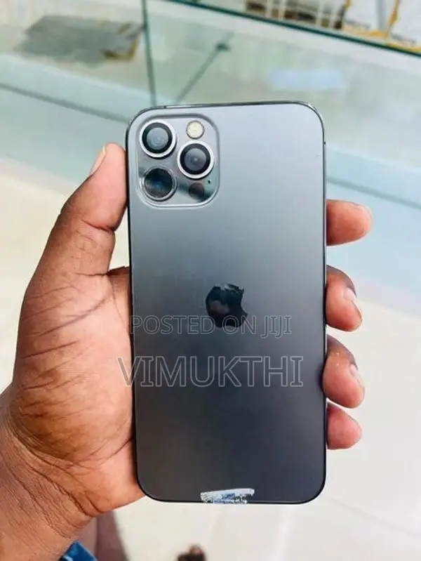 Apple iPhone 12 Pro 256GB (Used)