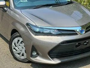 Toyota Axio G GRADE 2025