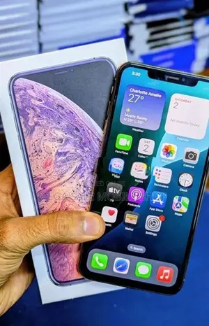 Apple iPhone XS Max 512GB (Used)