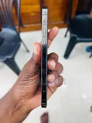 Apple iPhone 12 Pro 256GB (Used)