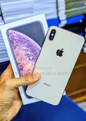 Apple iPhone XS Max 512GB (Used)