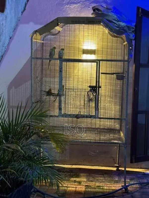 Bird Cage