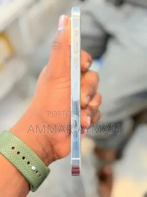 Apple iPhone 14 Pro Max (Used)