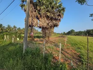 Jaffna Land for Sale
