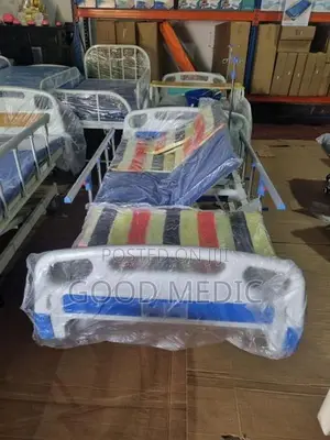Four Function Manual Beds with Sanitory