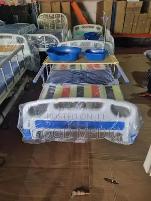 Four Function Manual Beds with Sanitory