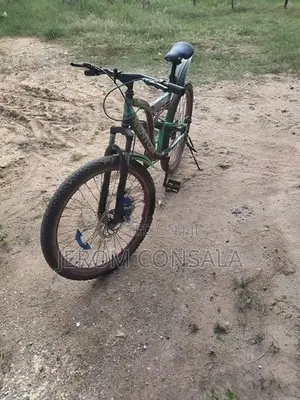 Kenton Bicycle