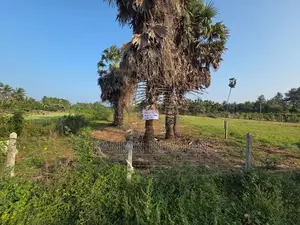 Jaffna Land for Sale