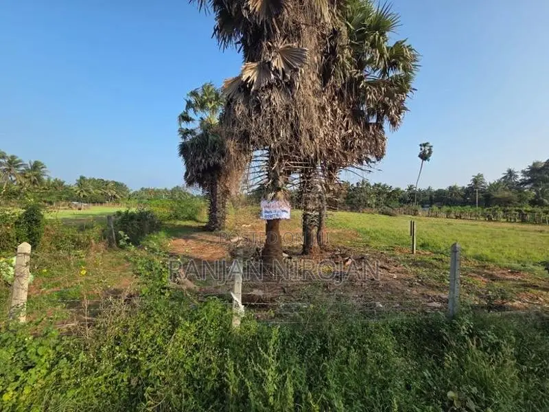Jaffna Land for Sale