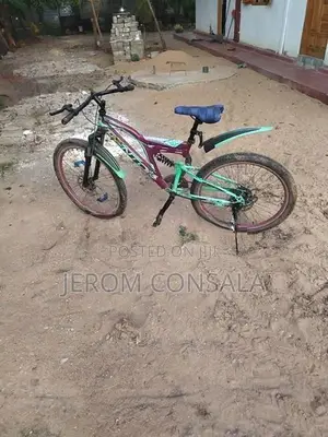 Kenton Bicycle
