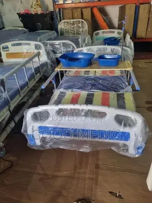 Four Function Manual Beds with Sanitory
