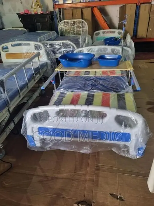 Four Function Manual Beds with Sanitory