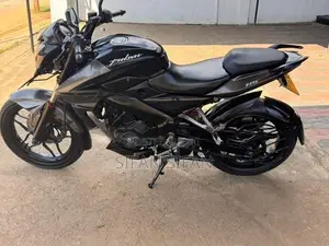 Bajaj Pulsar NS200 2019
