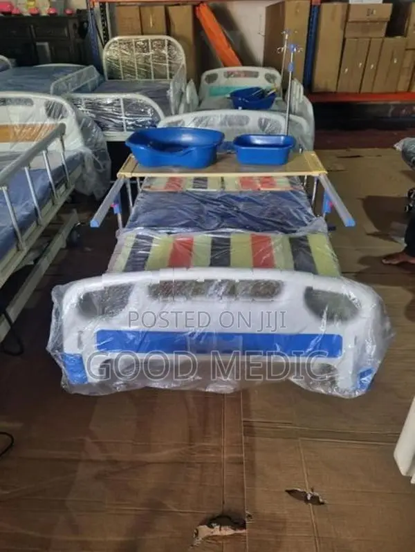 Four Function Manual Beds with Sanitory