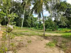 ☆ Gonapala Commercial Land for Sale ( RLS - 686)