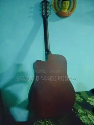 Cutaway Acoustic Guitar