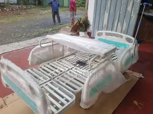 Five Function Electric Beds with Sanitory