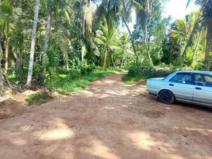 Land For sale In Biyagama , Dompe