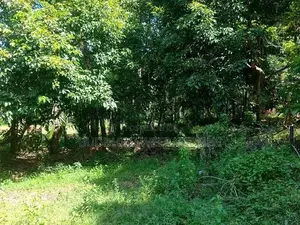 Land For sale In Biyagama , Dompe