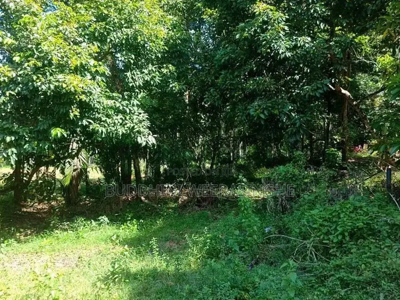 Land For sale In Biyagama , Dompe