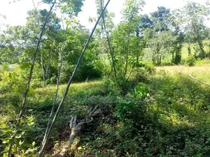 Land For sale In Biyagama , Dompe