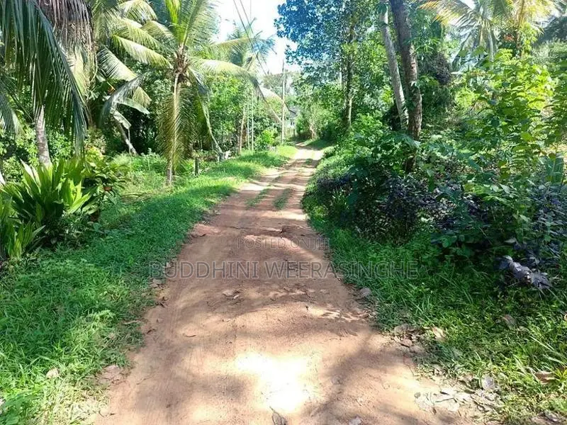 Land For sale In Biyagama , Dompe