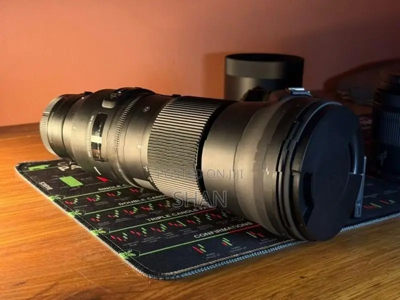 Canon 150–600mm Telephoto Lens