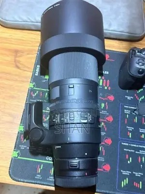 Canon 150–600mm Telephoto Lens