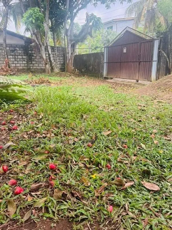 Land for Sale in Aththidiya