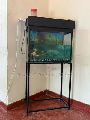 Fish Tank with Gold Fishs