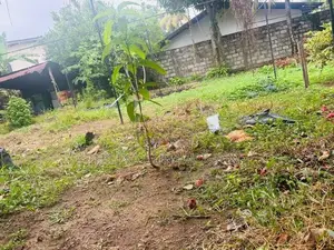 Land for Sale in Aththidiya
