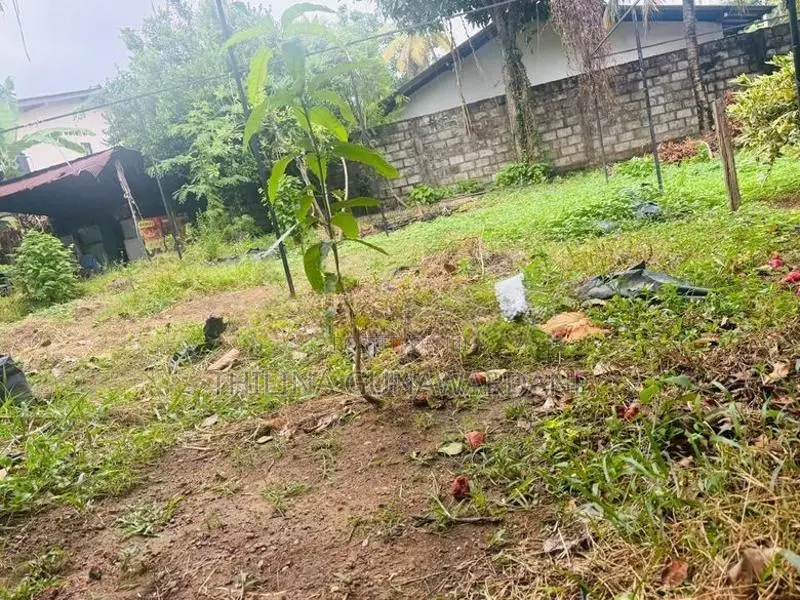 Land for Sale in Aththidiya