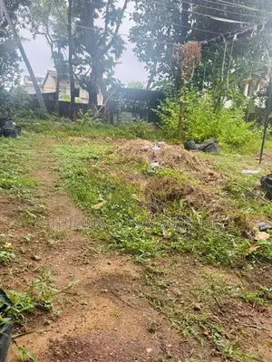 Land for Sale in Aththidiya