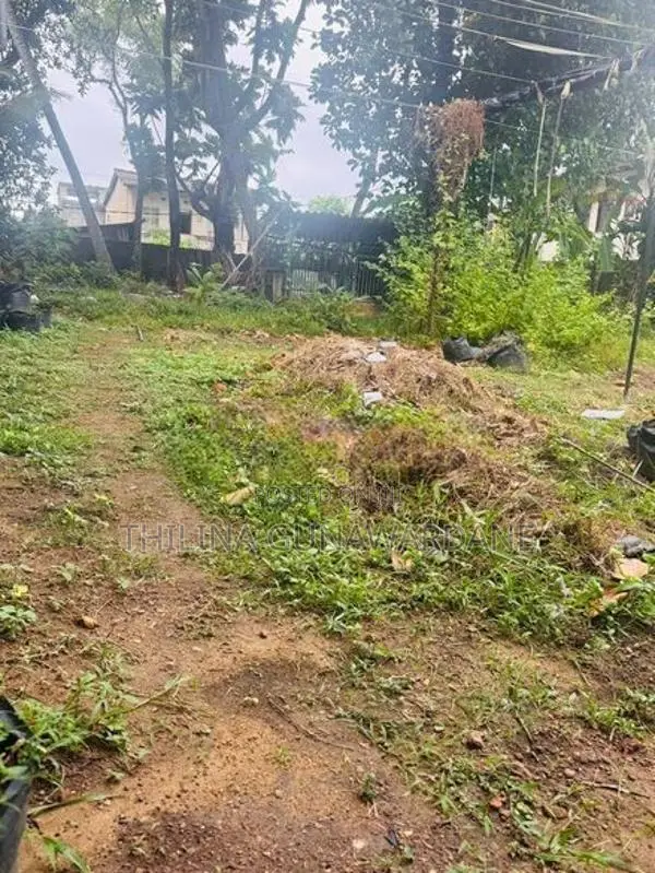 Land for Sale in Aththidiya