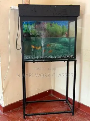 Fish Tank with Gold Fishs