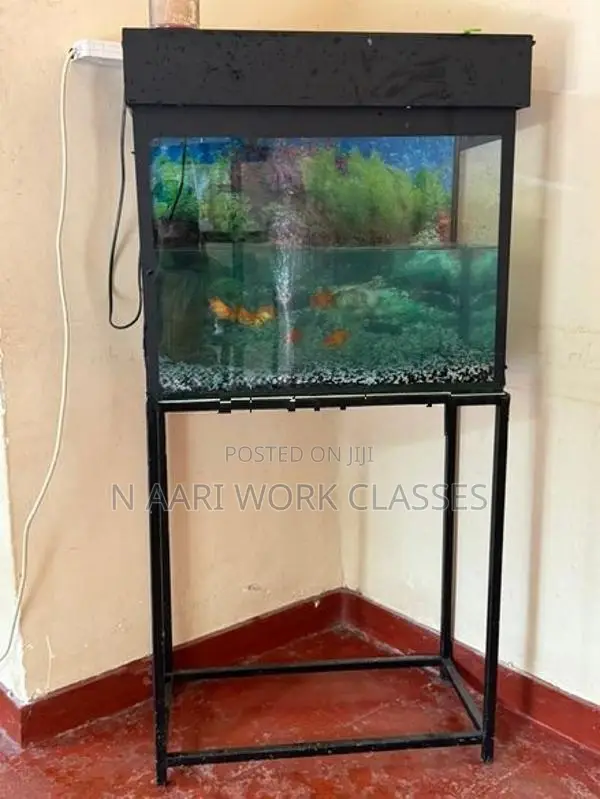 Fish Tank with Gold Fishs