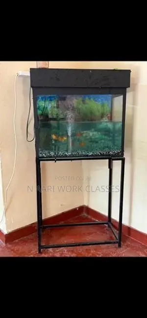 Fish Tank with Gold Fishs