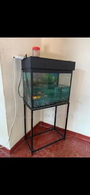 Fish Tank with Gold Fishs
