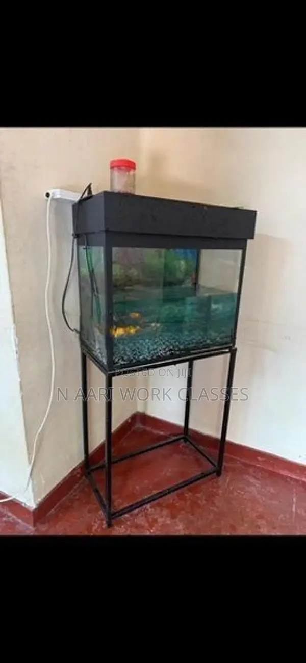 Fish Tank with Gold Fishs