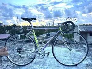3 Rensho Bicycle