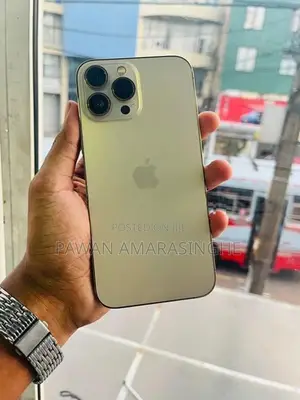 Apple iPhone 13 Pro Max (Used)