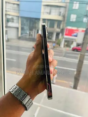Apple iPhone 13 Pro Max (Used)