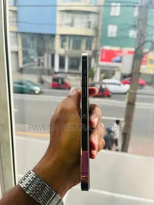 Apple iPhone 13 Pro Max (Used)
