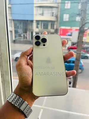 Apple iPhone 13 Pro Max (Used)