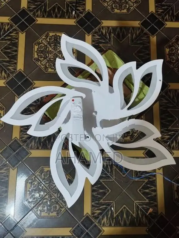 Ceiling Light