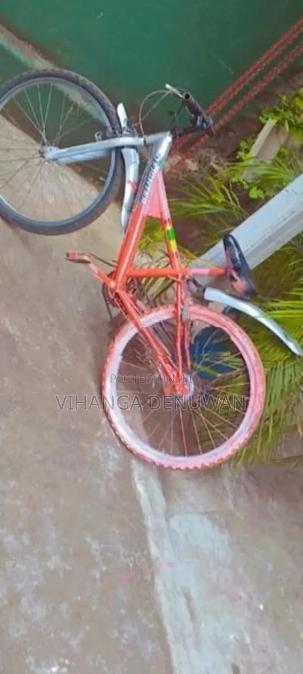 Bicycle