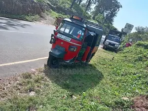 Piaggio Ape 2011