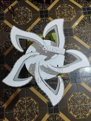 Ceiling Light