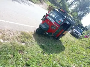 Piaggio Ape 2011